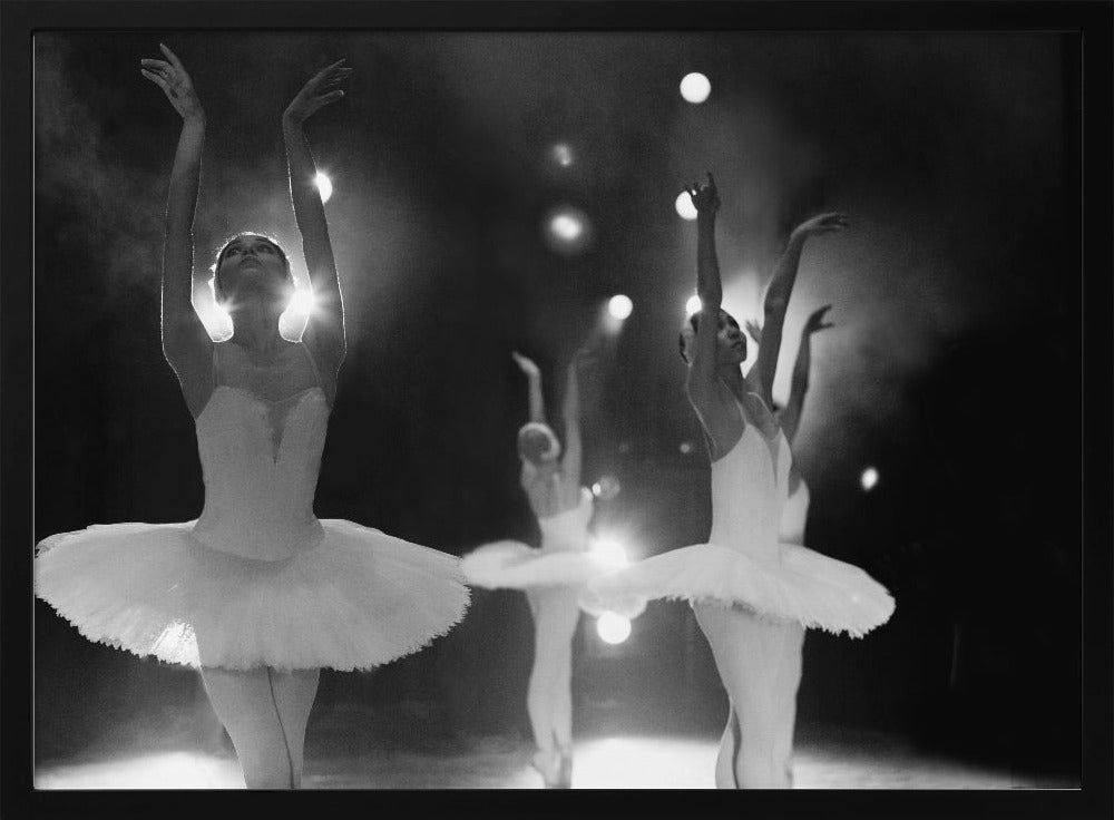 Swan Lake - Poster / Art Print