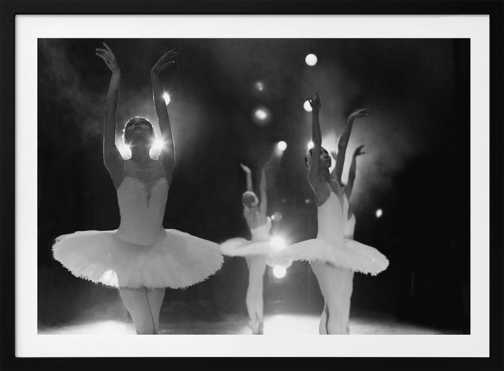 Swan Lake - Poster / Art Print