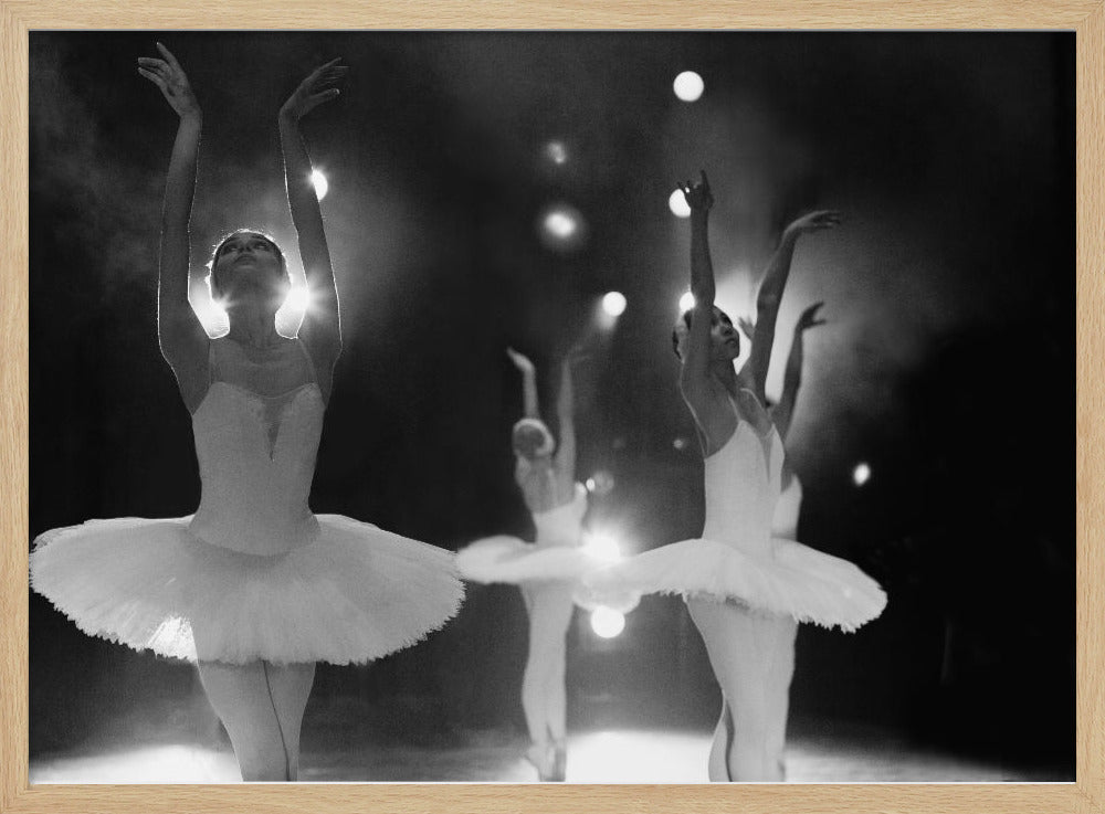 Swan Lake - Poster / Art Print