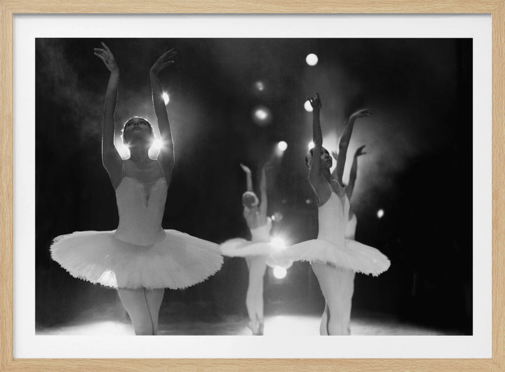Swan Lake - Poster / Art Print