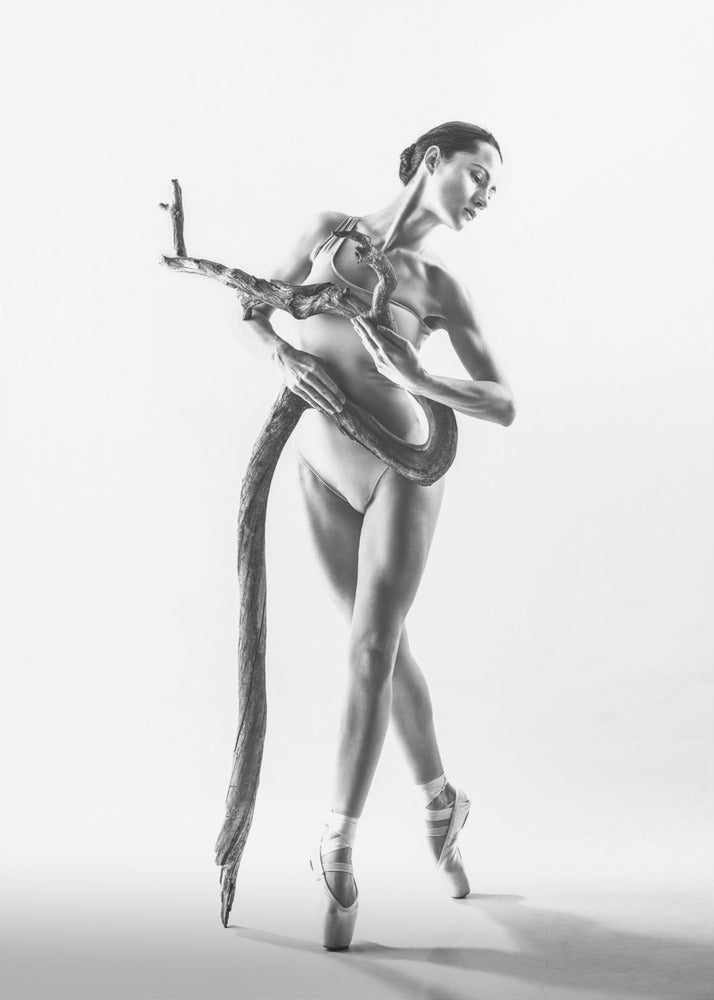 Dance 4 - Poster / Art Print