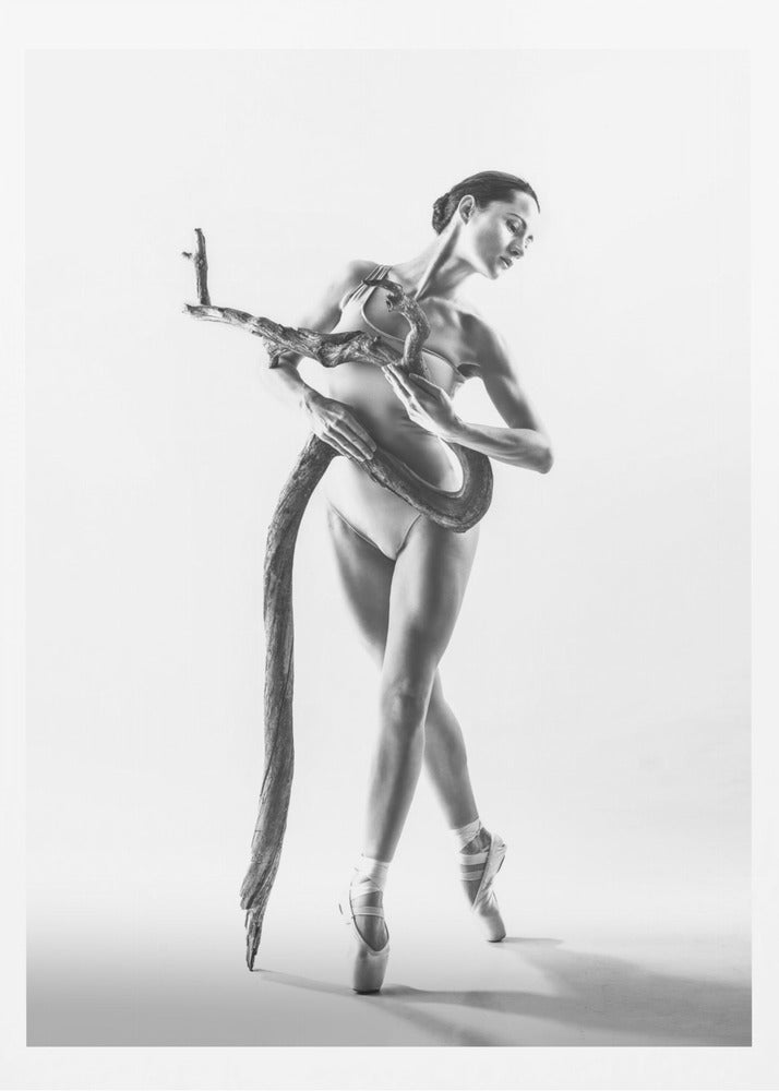 Dance 4 - Poster / Art Print