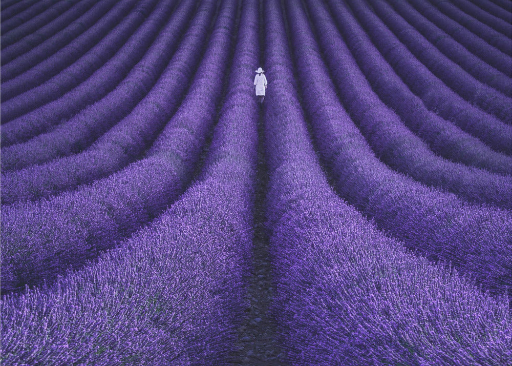 SHE - Poster / Art Print
