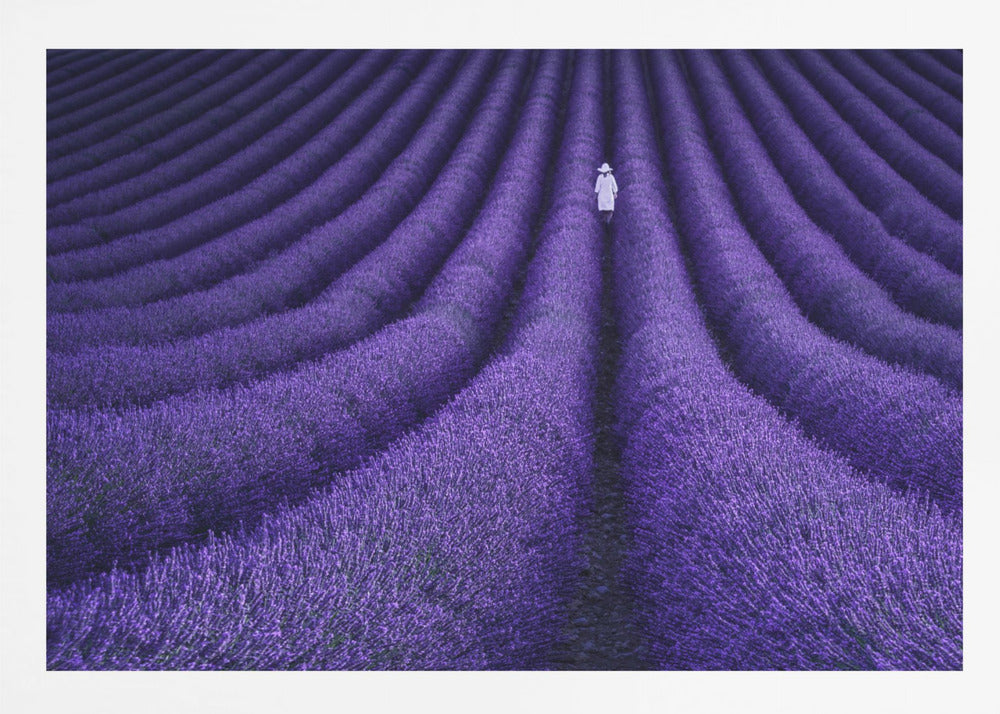SHE - Poster / Art Print