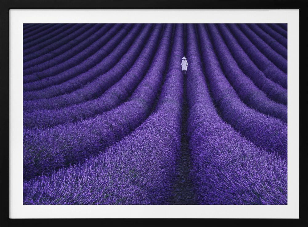 SHE - Poster / Art Print
