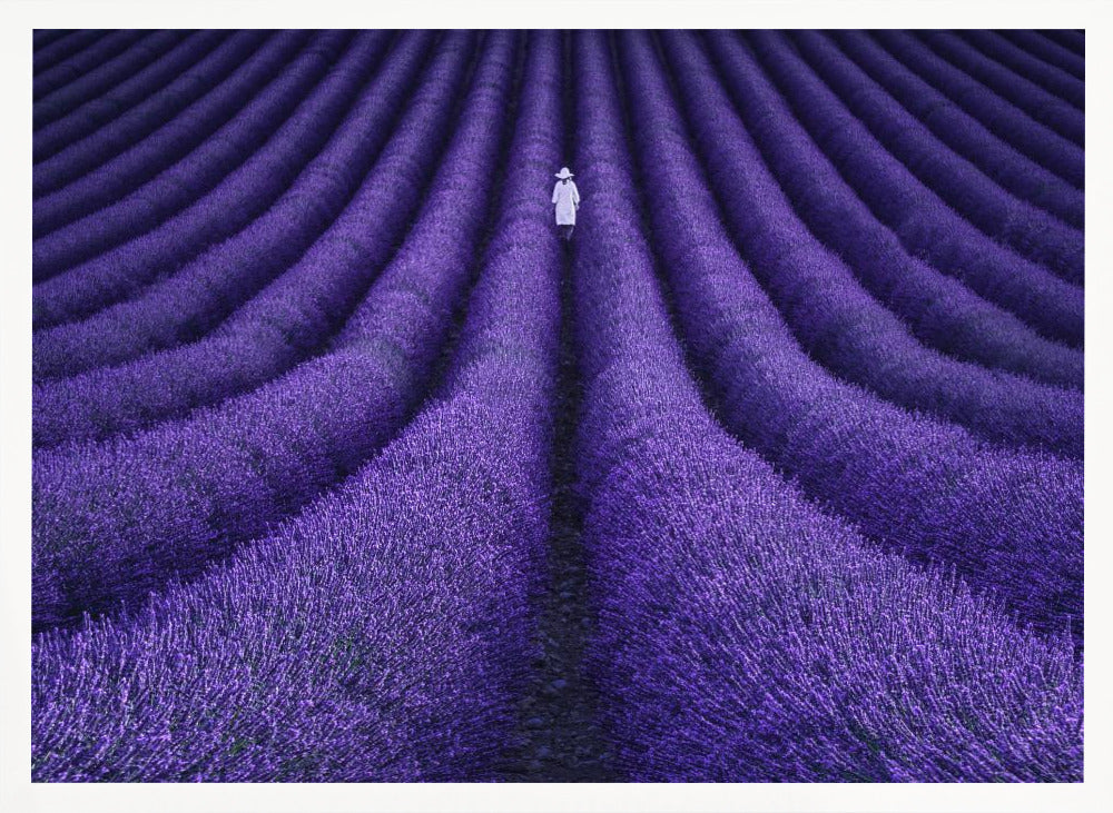 SHE - Poster / Art Print