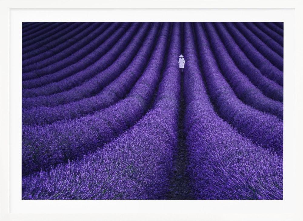 SHE - Poster / Art Print