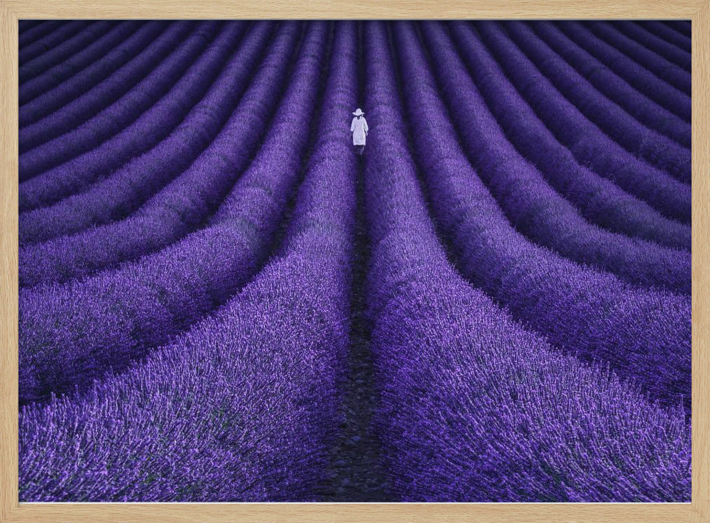SHE - Poster / Art Print