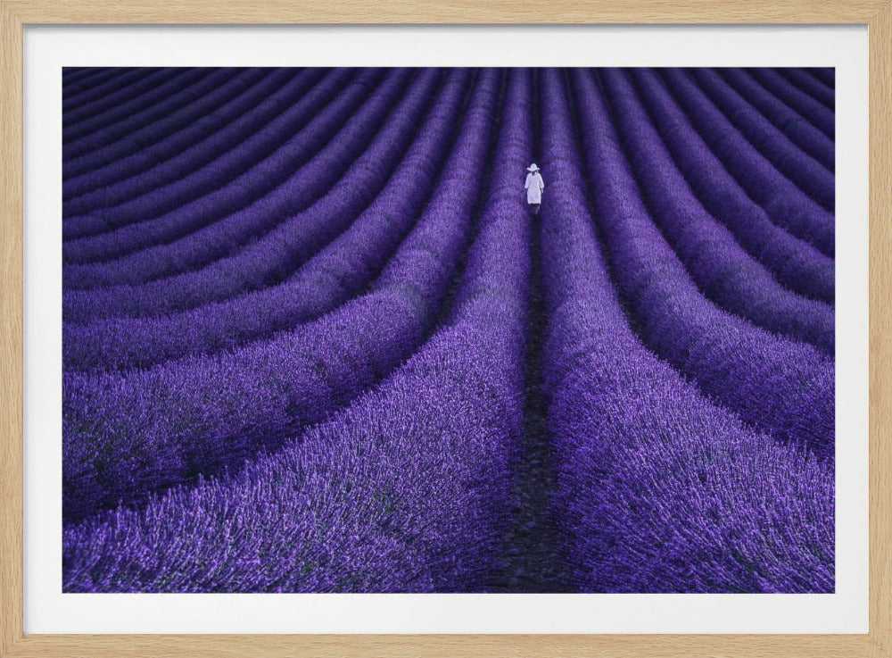 SHE - Poster / Art Print