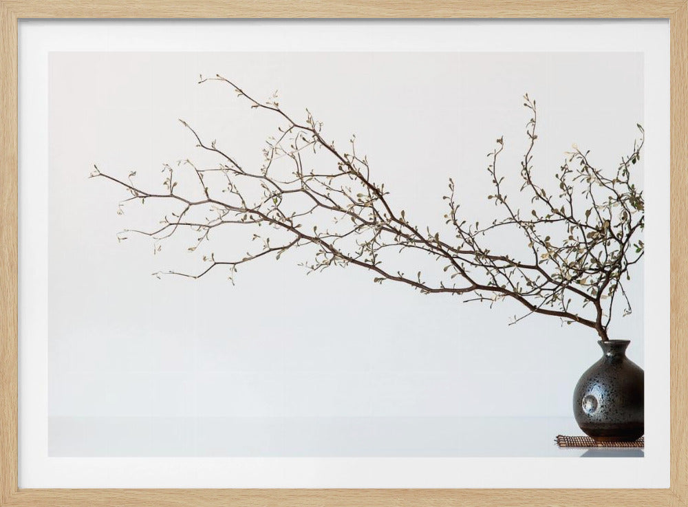 Vase And Branch - Poster / Art Print