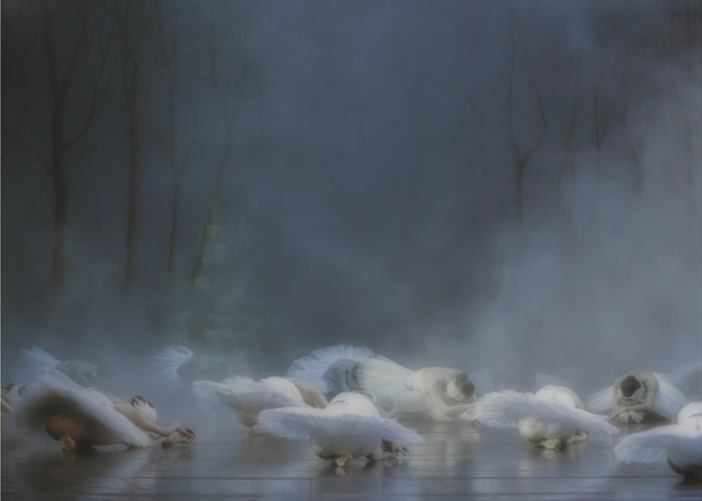 Von Rothbart's Curse - Poster / Art Print