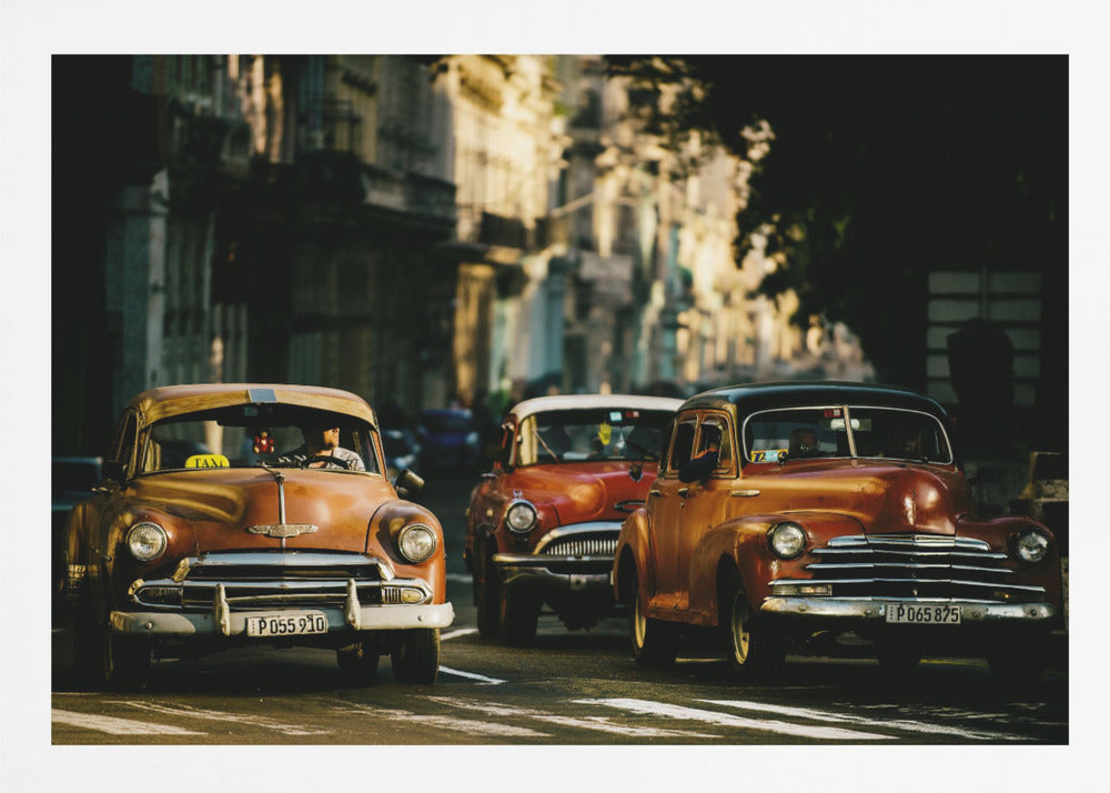 Come with me in the morning light - Poster / Art Print