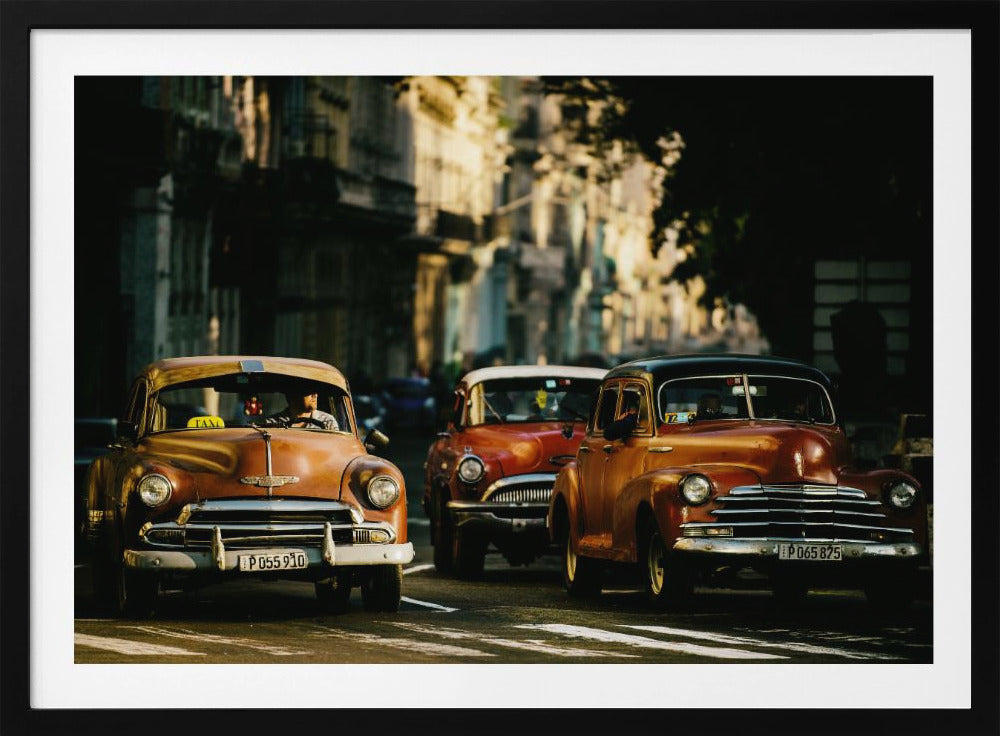Come with me in the morning light - Poster / Art Print