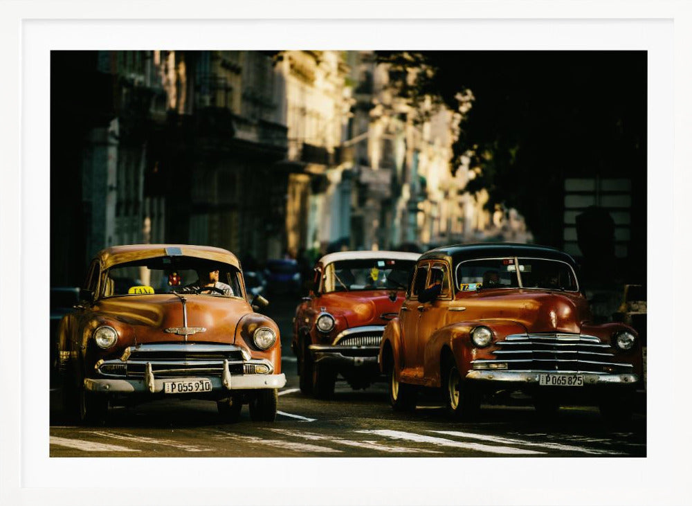 Come with me in the morning light - Poster / Art Print