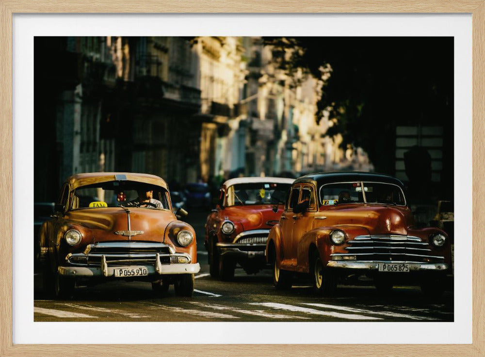 Come with me in the morning light - Poster / Art Print