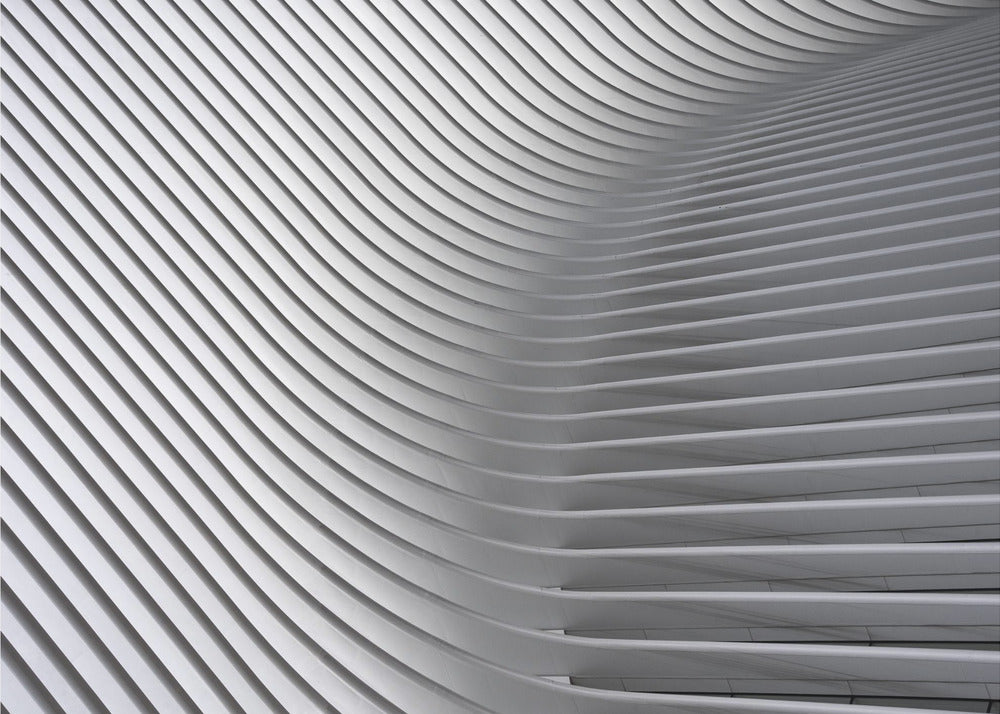 Calatrava Curves # 2 - Poster / Art Print