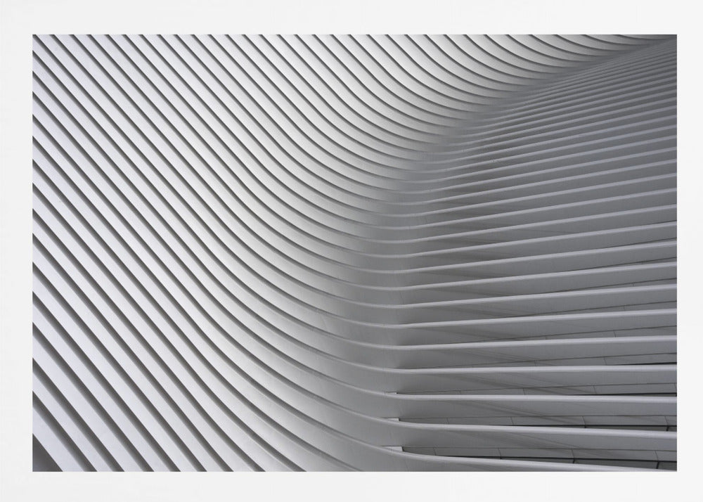 Calatrava Curves # 2 - Poster / Art Print
