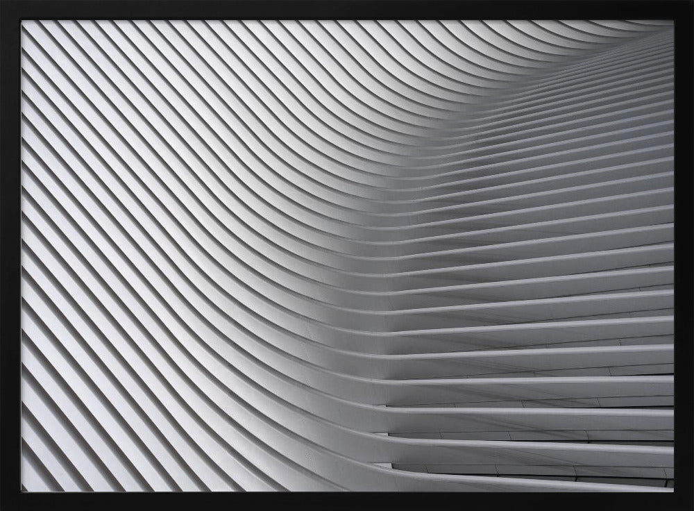 Calatrava Curves # 2 - Poster / Art Print