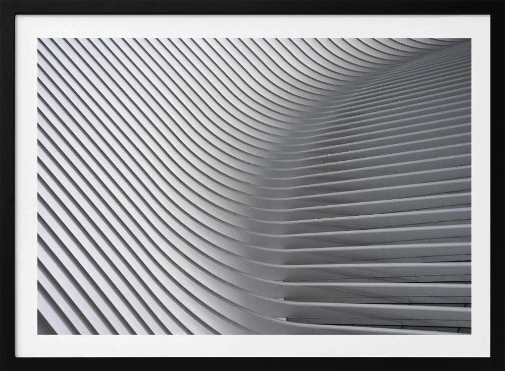 Calatrava Curves # 2 - Poster / Art Print