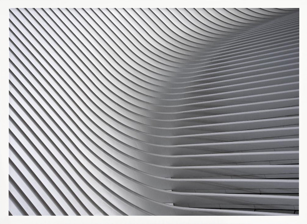 Calatrava Curves # 2 - Poster / Art Print