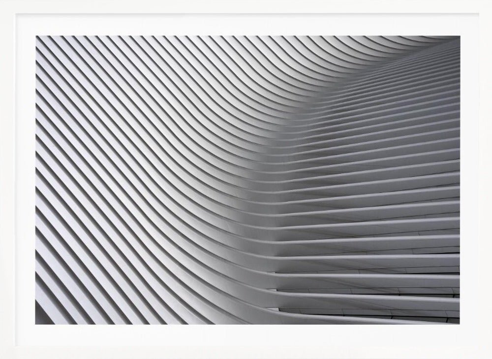 Calatrava Curves # 2 - Poster / Art Print