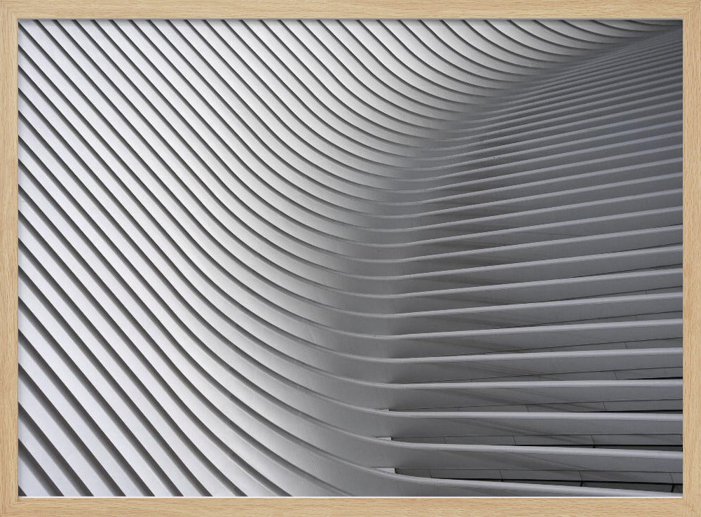 Calatrava Curves # 2 - Poster / Art Print