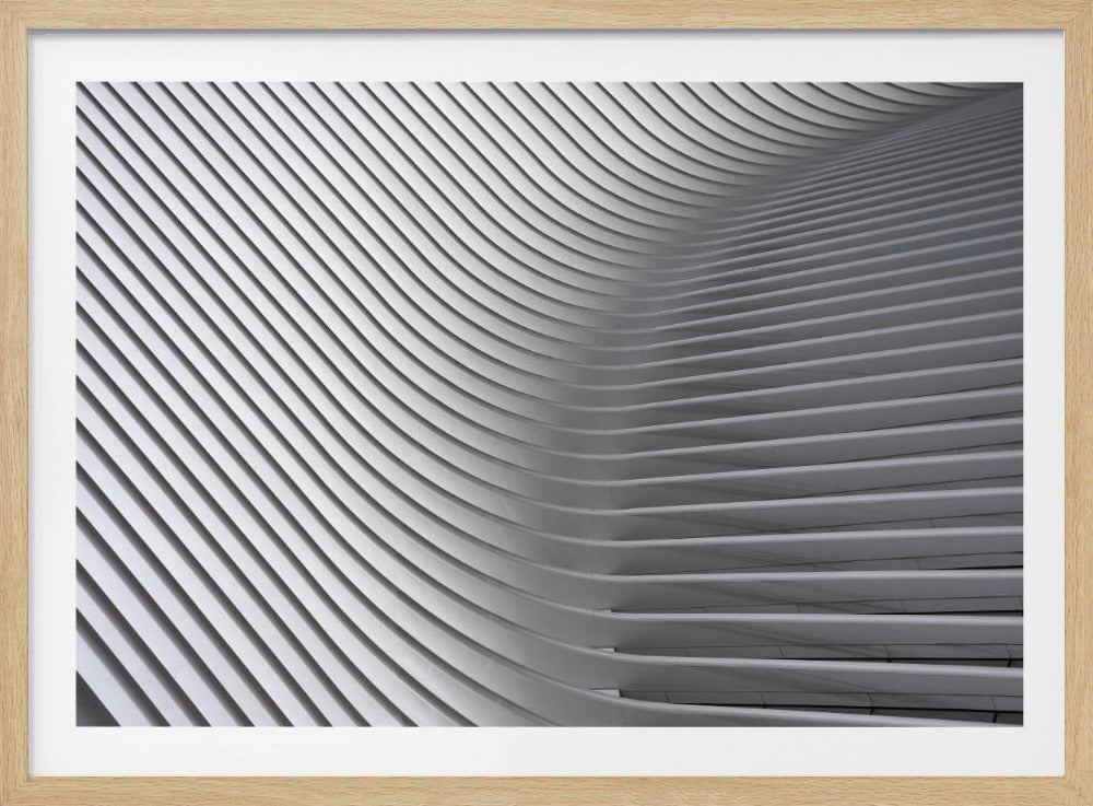 Calatrava Curves # 2 - Poster / Art Print