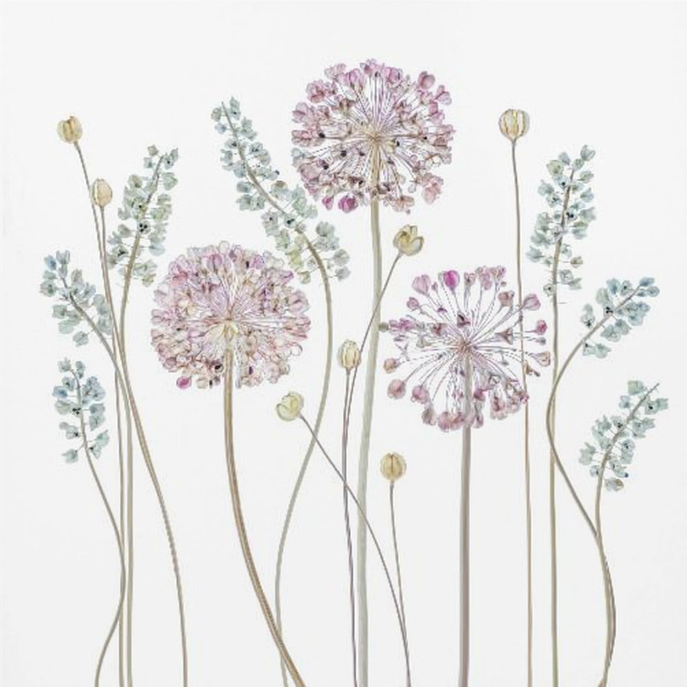 Allium - Poster / Art Print