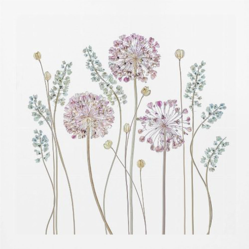 Allium - Poster / Art Print
