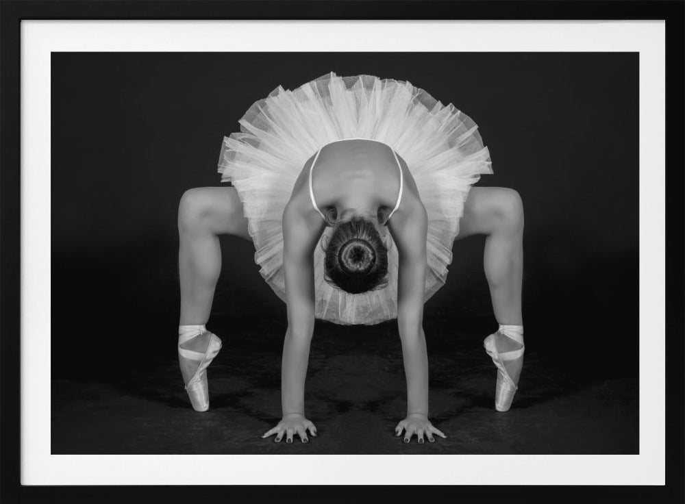 Control in Dance - Poster / Art Print