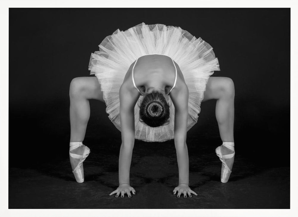 Control in Dance - Poster / Art Print