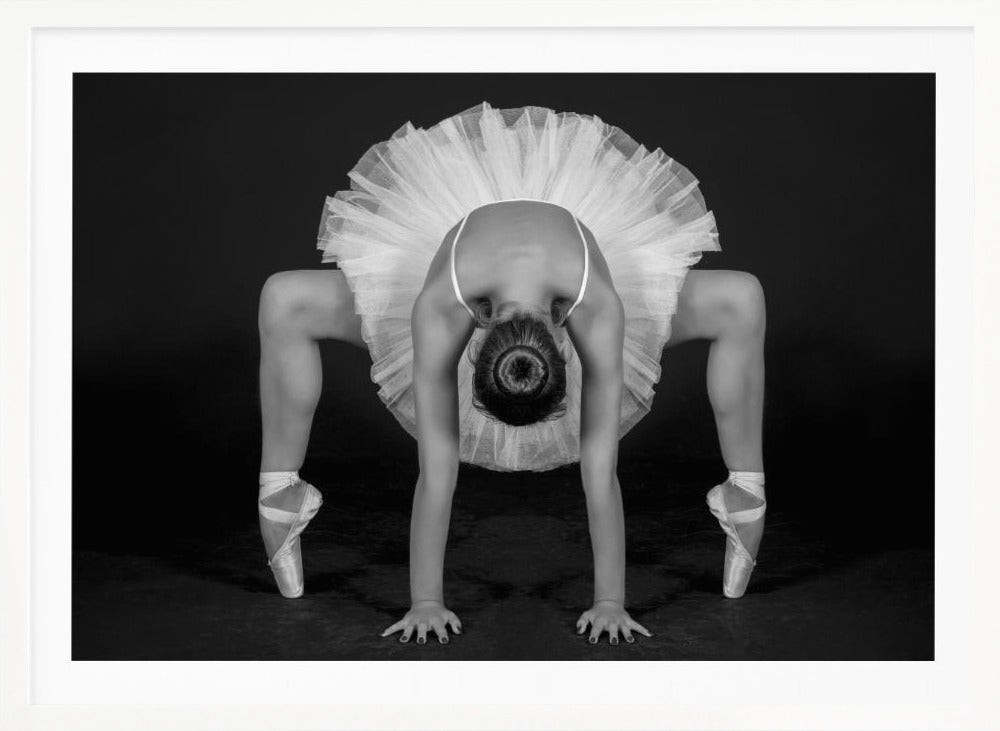 Control in Dance - Poster / Art Print