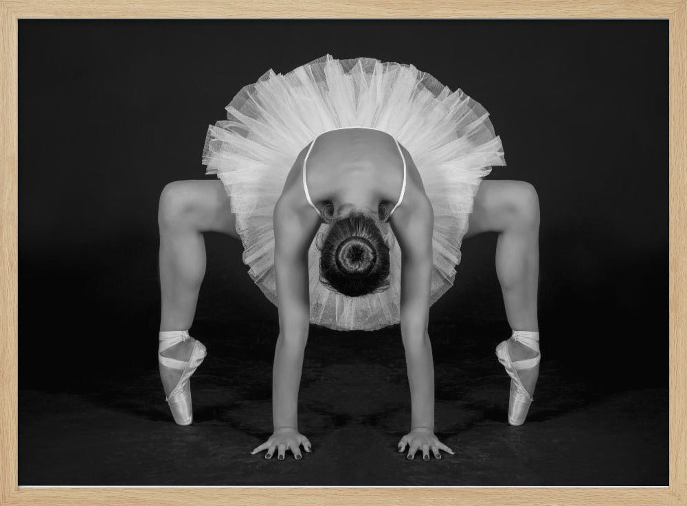 Control in Dance - Poster / Art Print