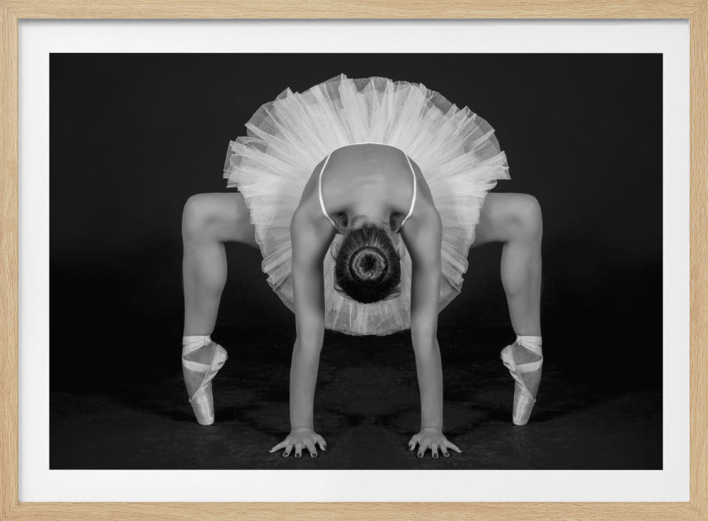 Control in Dance - Poster / Art Print
