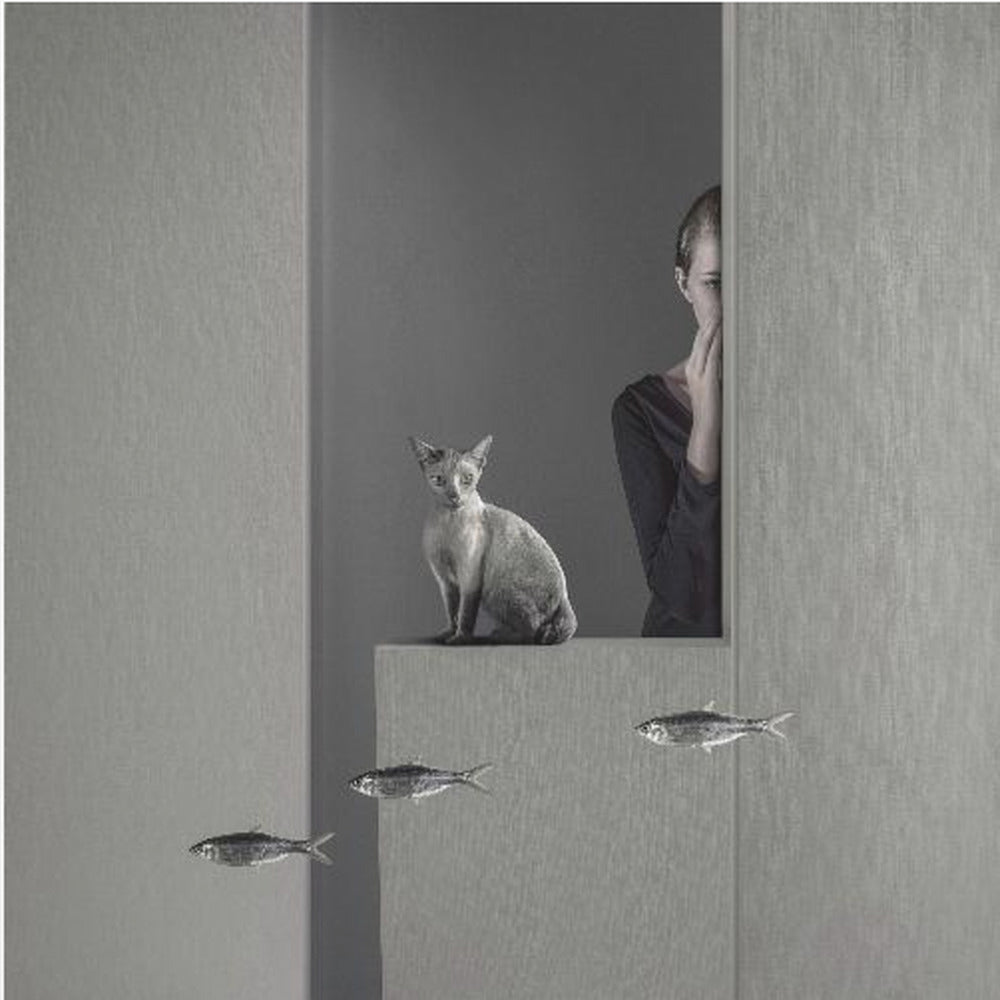 Who moved my fish ( epilogue ) - Poster / Art Print