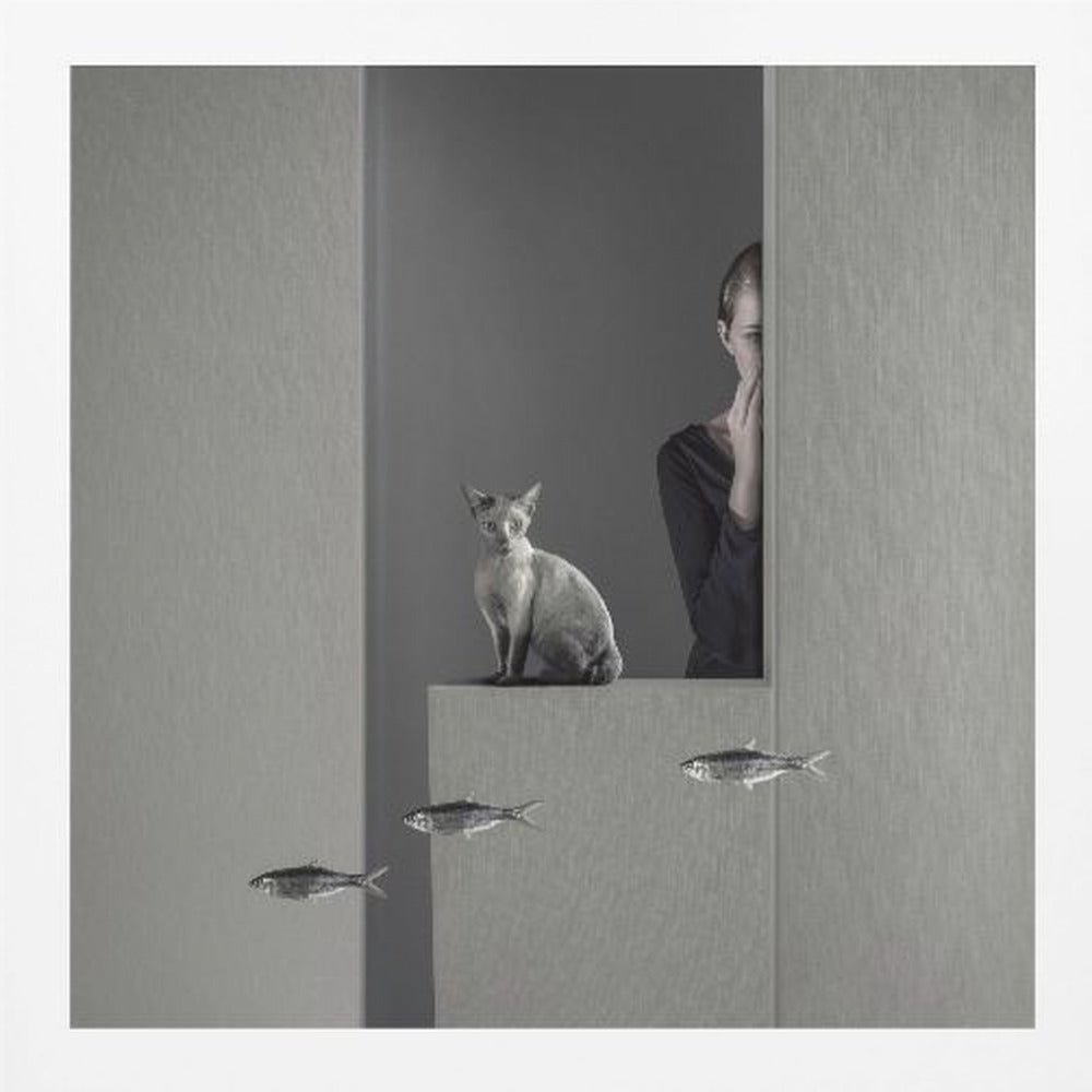 Who moved my fish ( epilogue ) - Poster / Art Print