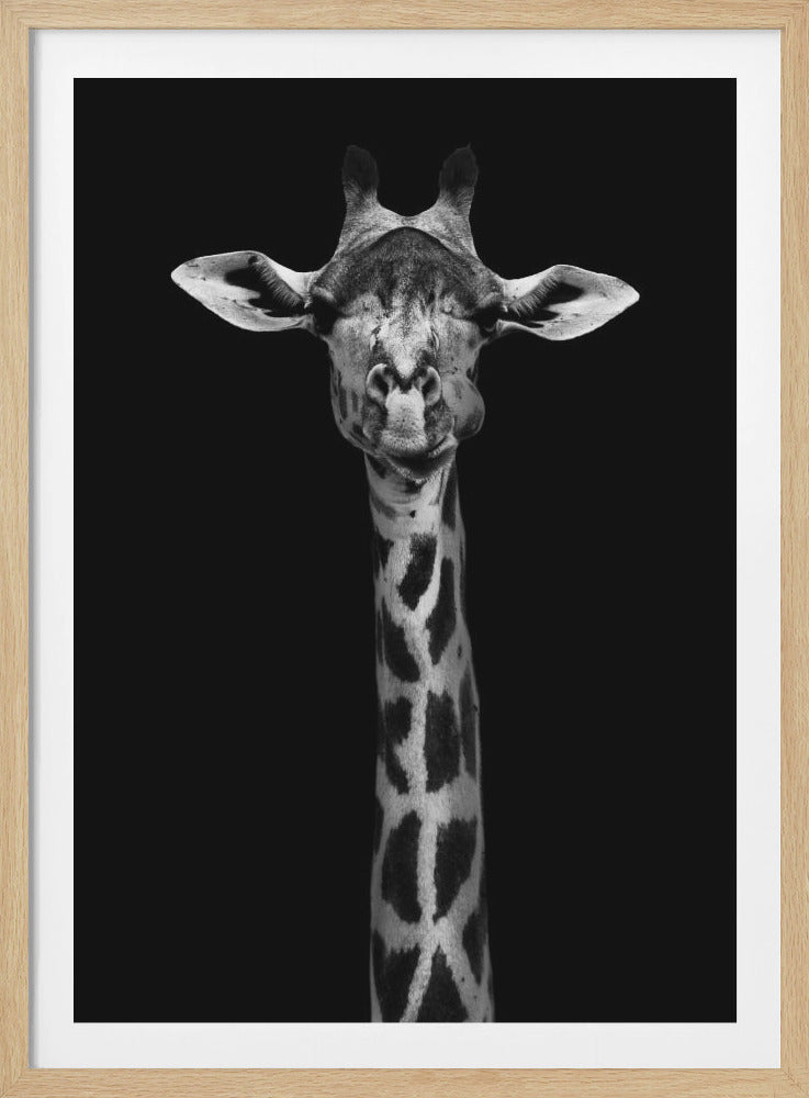 Giraffe Portrait - Poster / Art Print