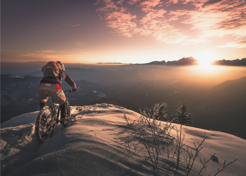 Winter shredding - Poster / Art Print