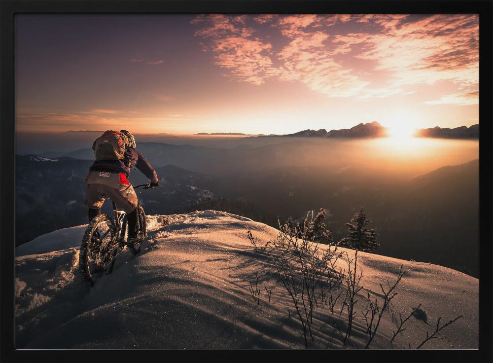 Winter shredding - Poster / Art Print
