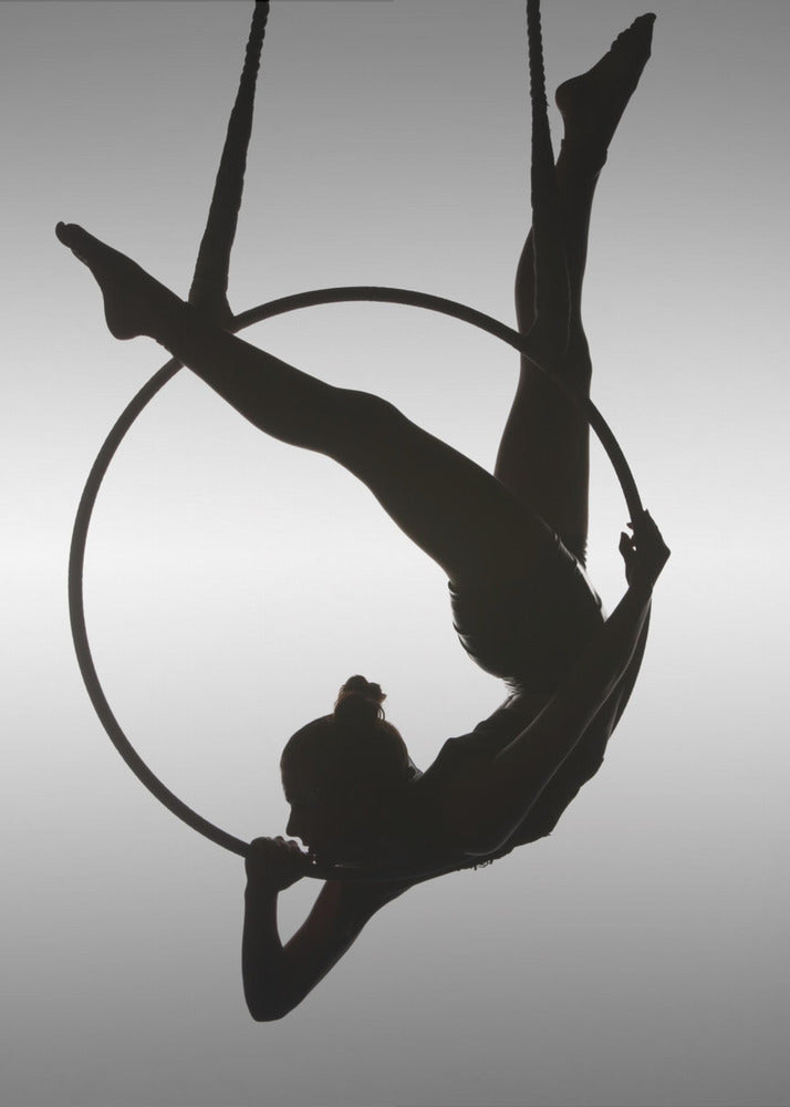 The Aerialist - Poster / Art Print