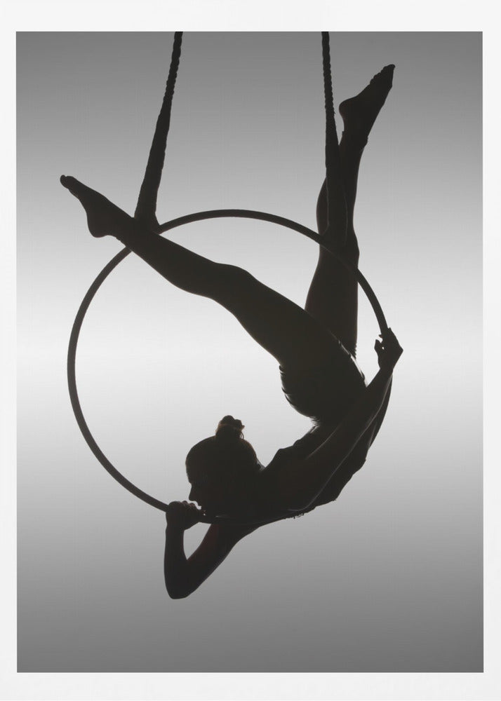 The Aerialist - Poster / Art Print