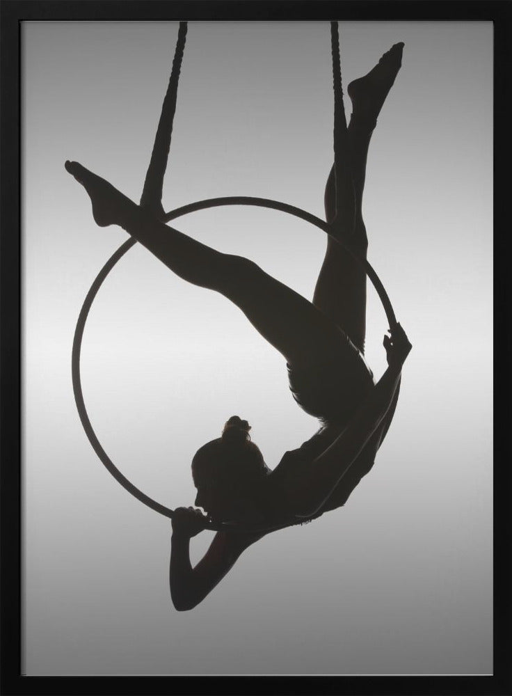 The Aerialist - Poster / Art Print