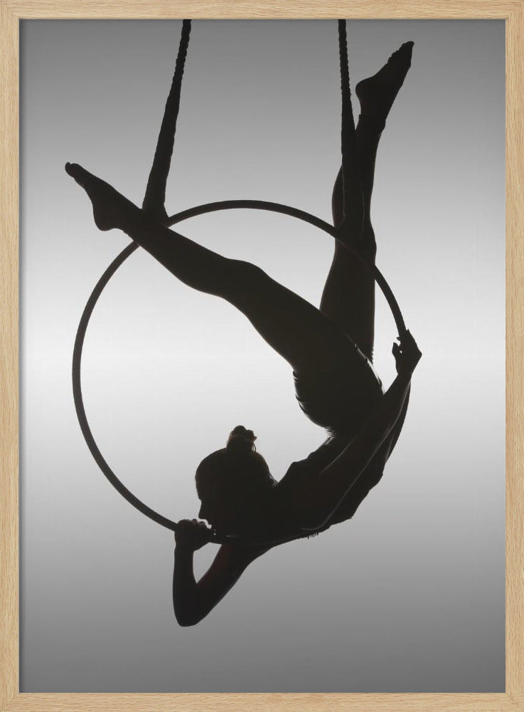 The Aerialist - Poster / Art Print