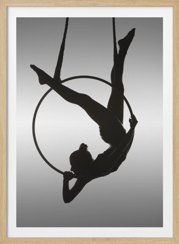 The Aerialist - Poster / Art Print