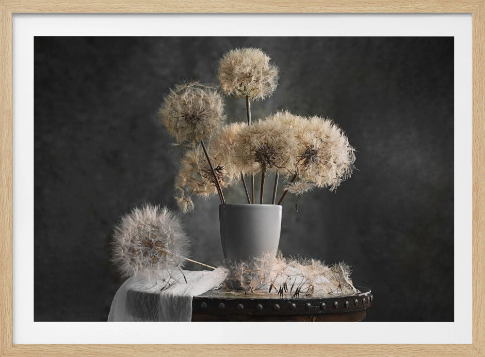 Dandelion Seed Pod - Poster / Art Print