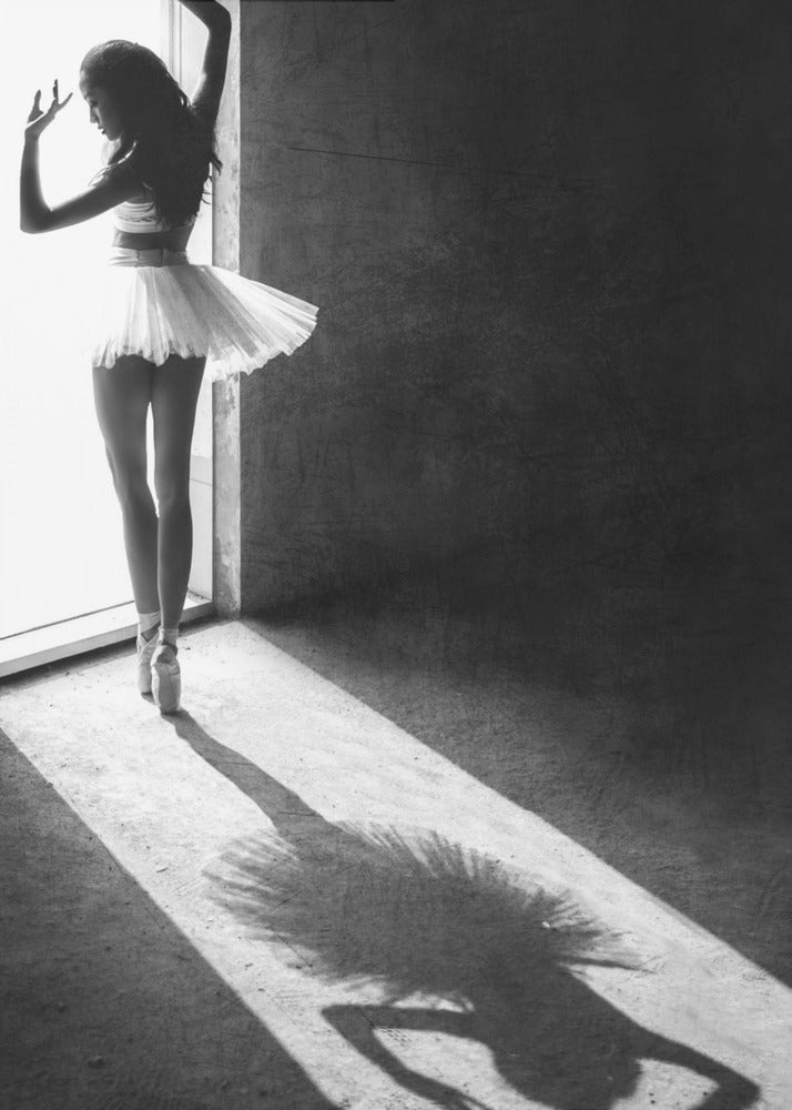 Shadow Dance - Poster / Art Print