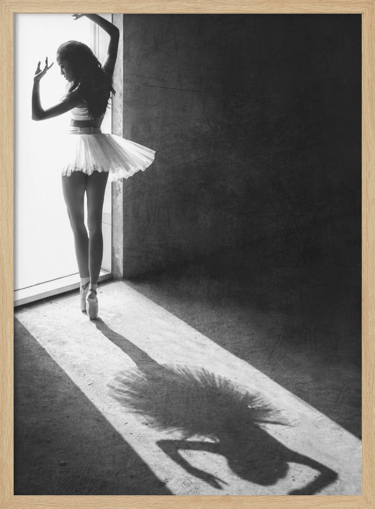 Shadow Dance - Poster / Art Print
