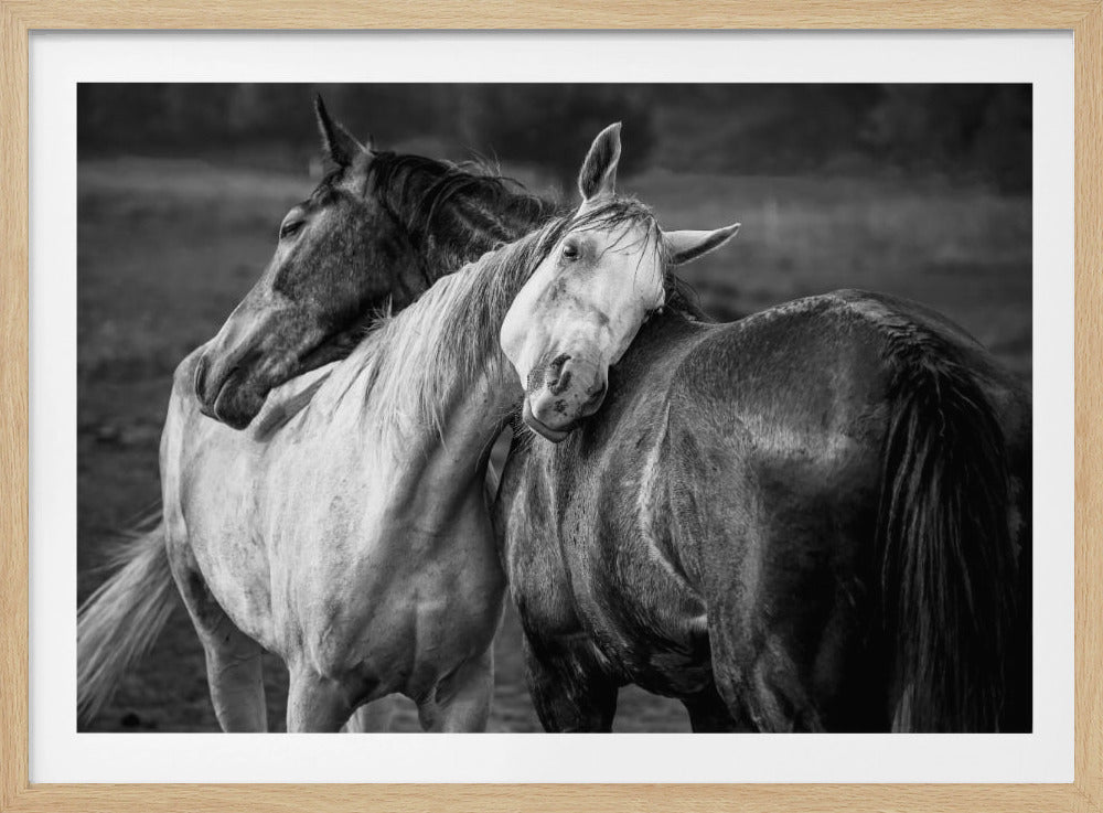 Warm rain - Poster / Art Print