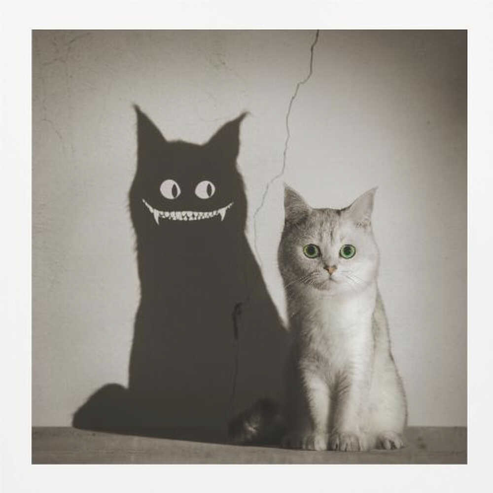 The Shadow Smiles to You - Poster / Art Print