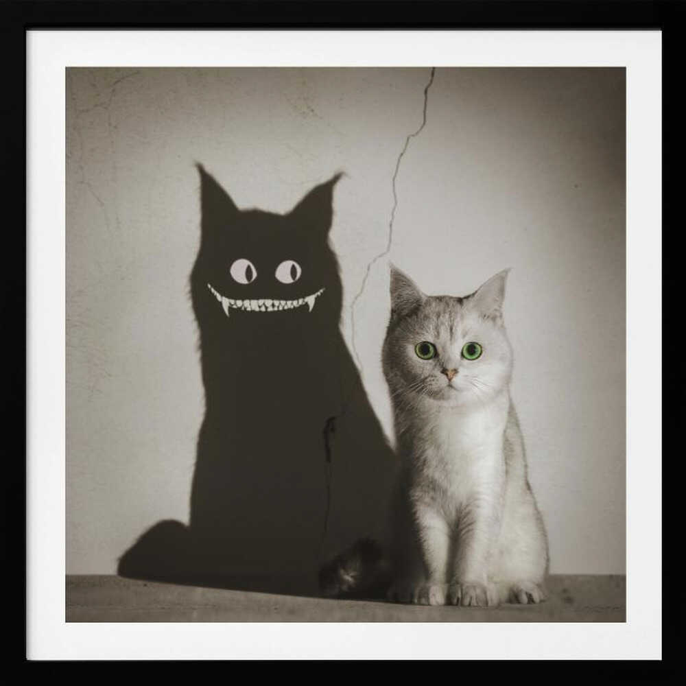 The Shadow Smiles to You - Poster / Art Print